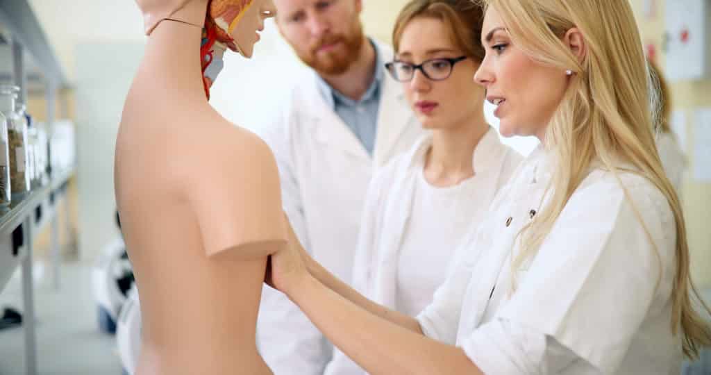 Chiropractors conducting sciatica studies