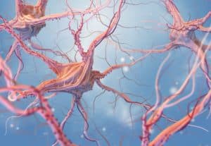Neuropathic nerves